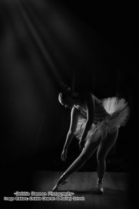 IMG_0405-1